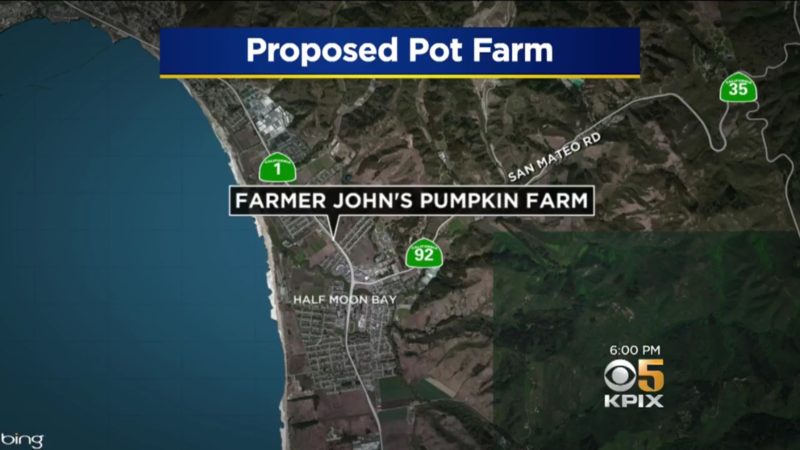Proposed Pot Farm: Farmer John's Pumpkin Farm