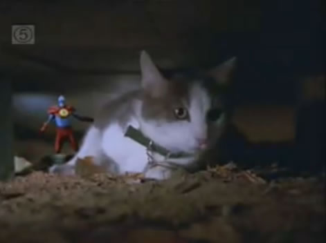 The Atom saves a cat