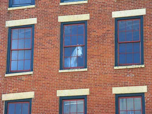 Horse in a second floor window