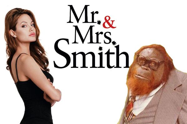 Mr and Mrs. Smith, starring Angeline Jolie and an orangutan