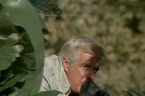 Hannibal does his duck call