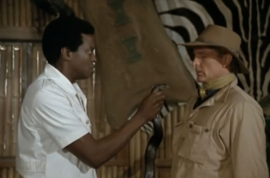 Novarro and his mambo snake