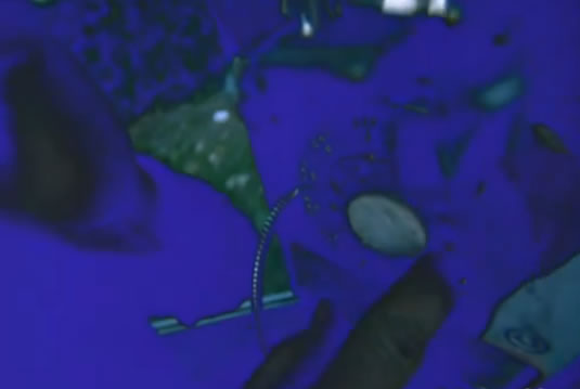 Murdock sees psychedelic landscapes