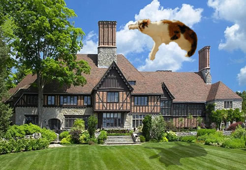catflyingovermelshouse120909 Cat flying over Mel Gibson's house