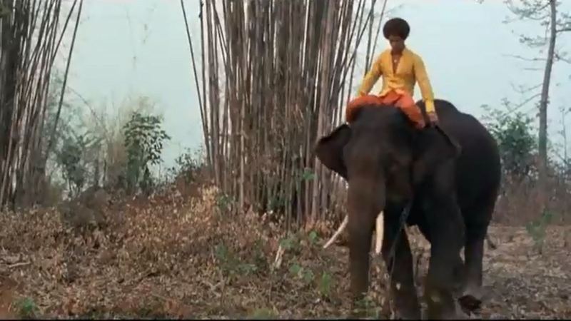 Jim Kelly on an elephant