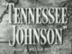 screenshot of "Tennessee Johnson" 