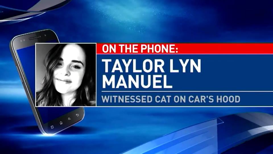 Taylor Lyn Manuel: Witnessed Cat on Car's Hood