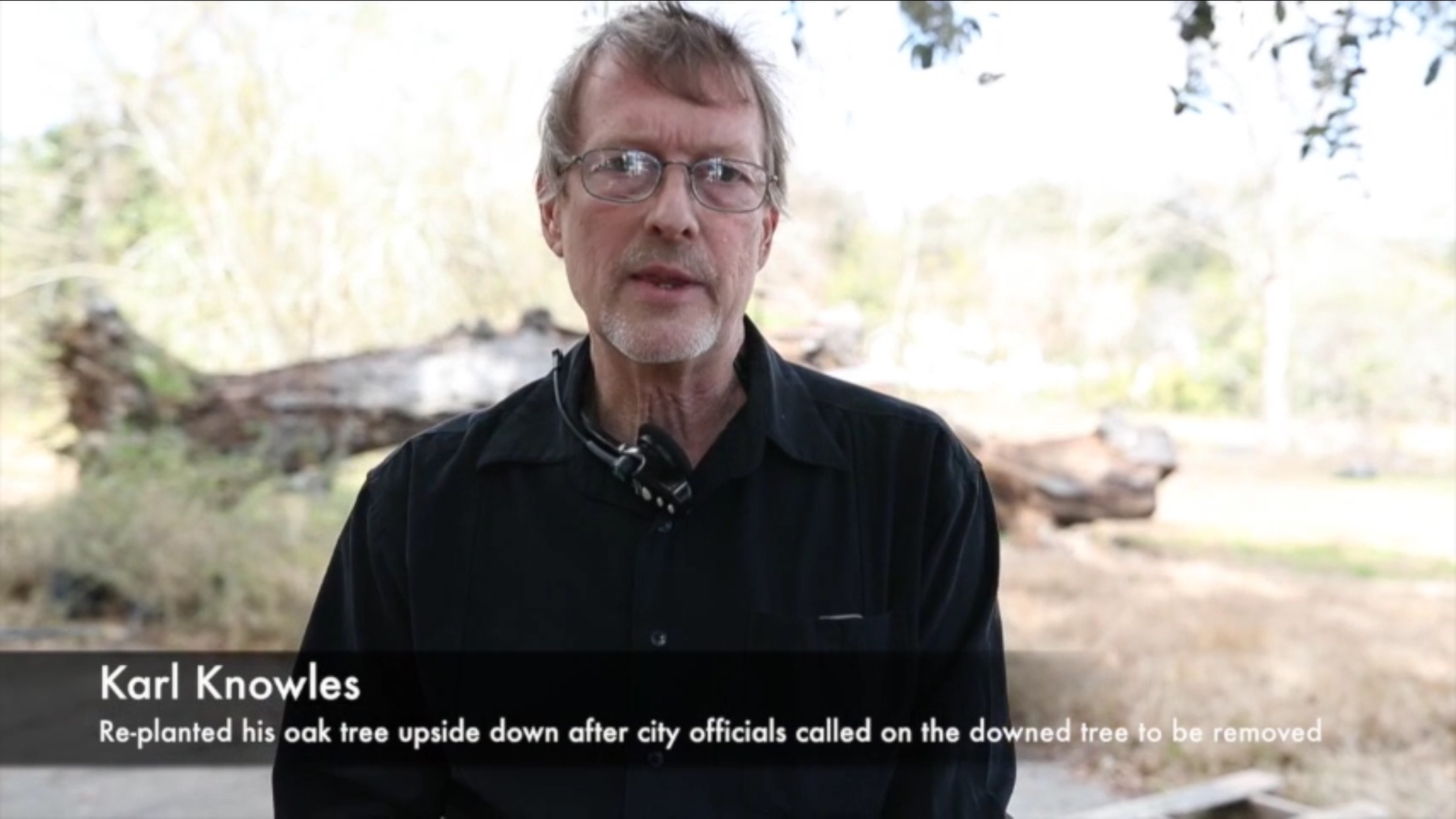 Karl Knowles: Replanted his oak tree upside down after city officials called on the downed tree to be removed.