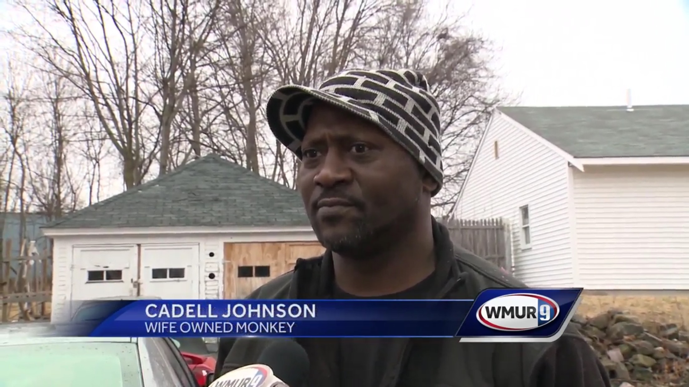 Cadell Johnson: Wife Owned Monkey