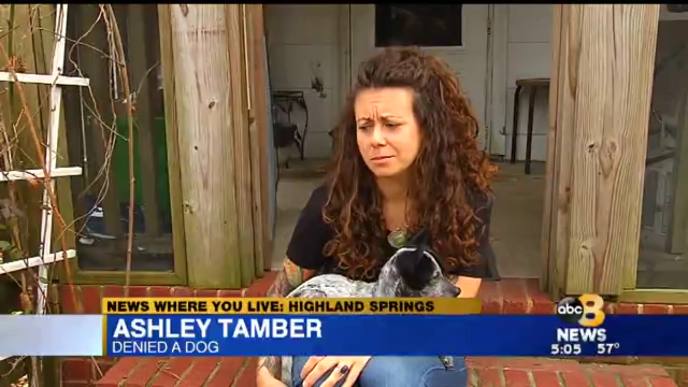 Ashley Tamber: Denied A Dog