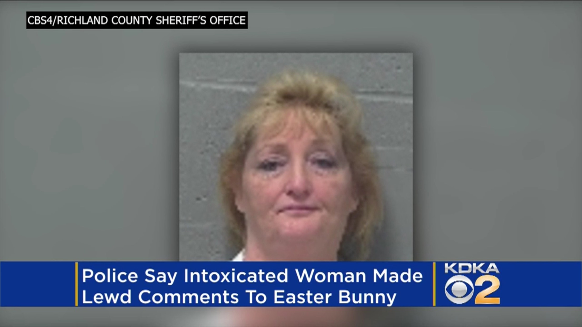 Police Say Intoxicated Woman Made Lewd Comments To Easter Bunny