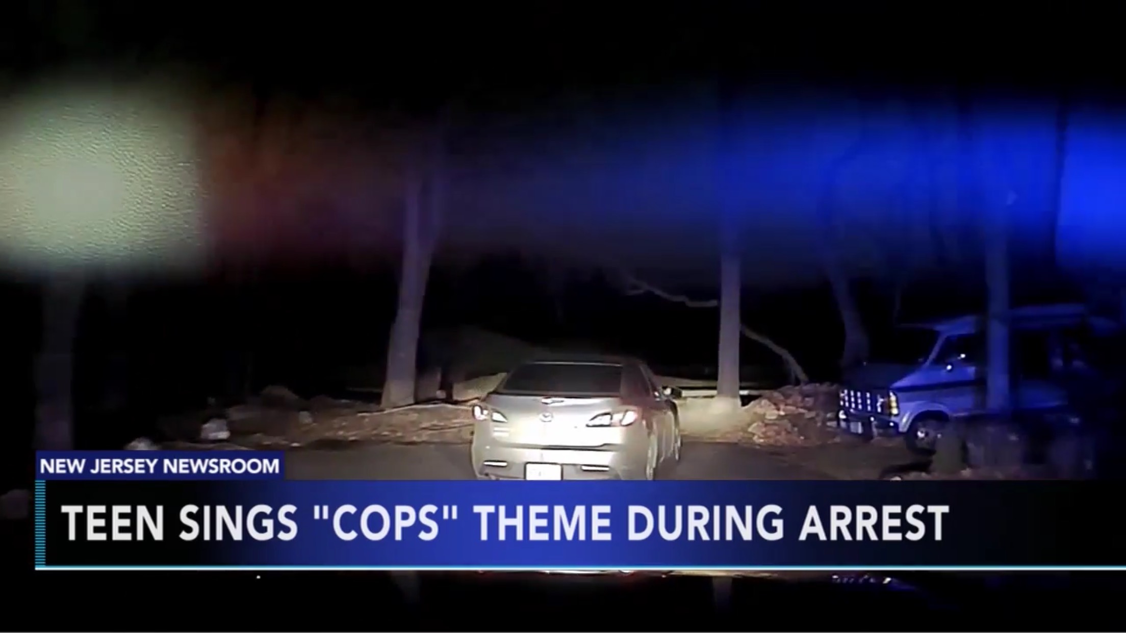 Teen Sings "Cops" Theme During Arrest