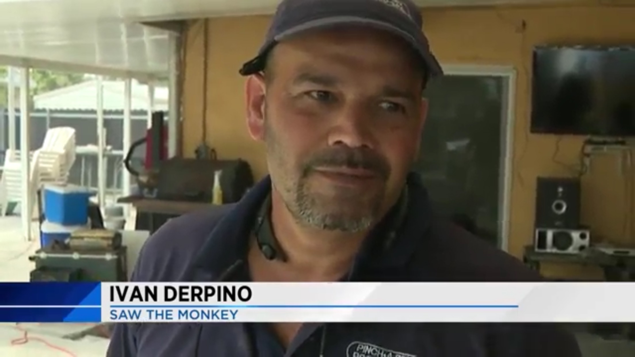 Ivan Derpino: Saw The Monkey