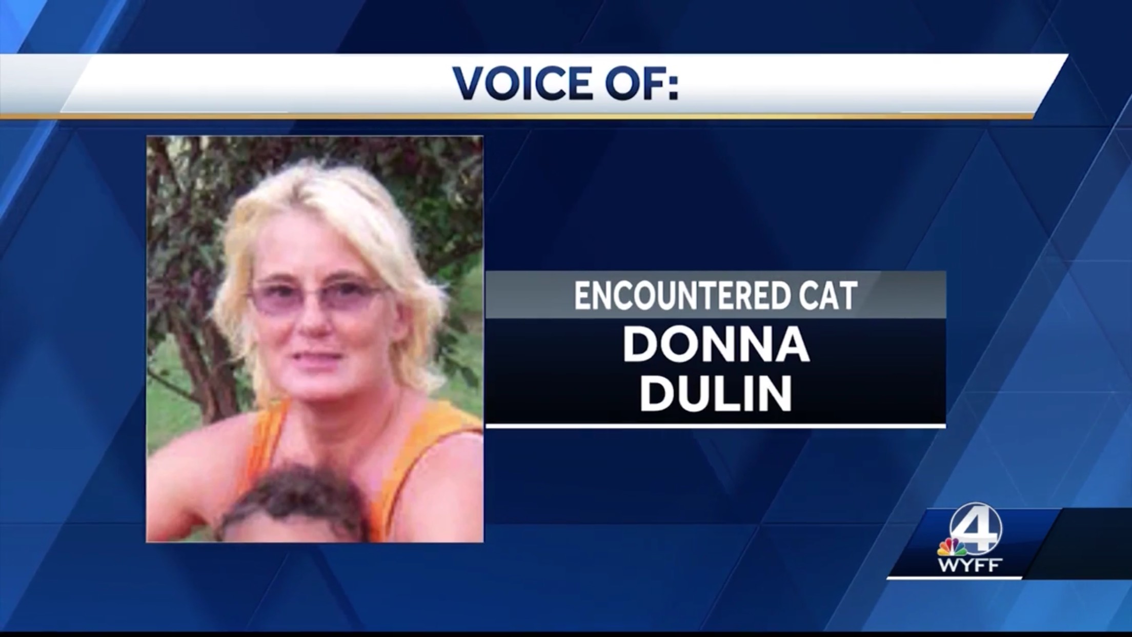 Donna Dulin: Encountered Cat
