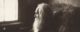 Walt Whitman portrait, 1891 (National Portrait Gallery, Smithsonian Institution)