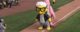"Harry Canary," a bird mascot dressed to look like baseball announcer Harry Caray, on the field at the Madison Mallards minor league baseball team in Madison, Wisconsin, May 30, 2017.