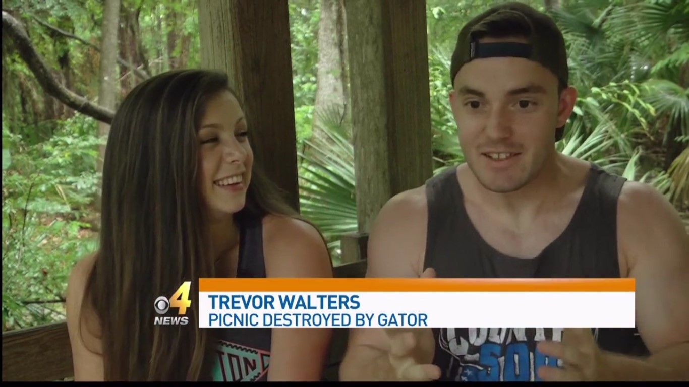Trevor Walters: Picnic Destroyed By Gator