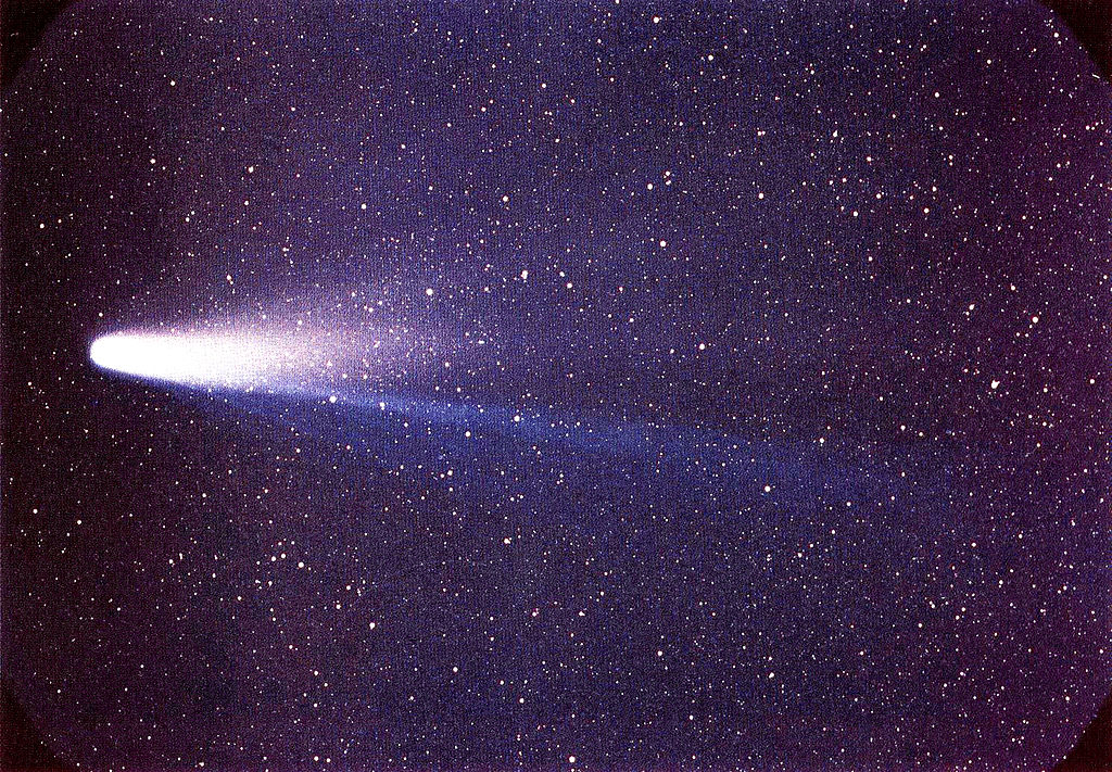 Halley's Comet. NASA/W. Liller, Public domain, via Wikimedia Commons
