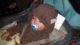 Sleepy baby boy in his bear costume