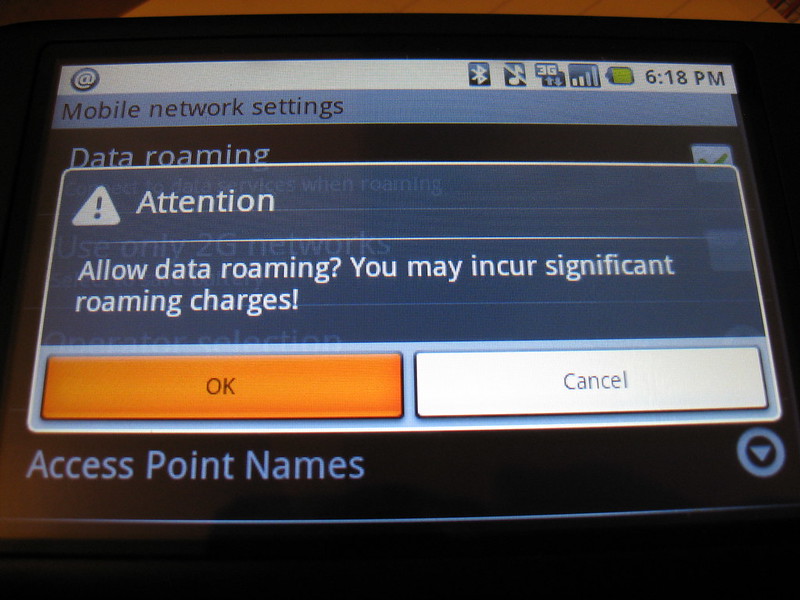 Dialog box says "Allow data roaming? You may incur significant roaming charges!" (photo by Kai Hendry via Flickr/Creative Commons https://flic.kr/p/5z8VA3)
