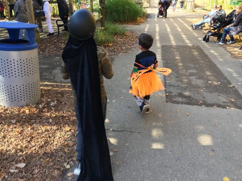 Eight year old wearing his cape and camouflage