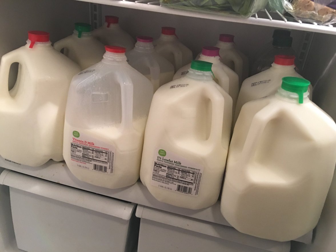 Rows of plastic milk bottles