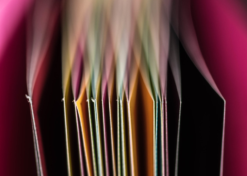 Pages of a book. (Photo by Nedra via Flickr/Creative Commons https://flic.kr/p/SjJiUB)