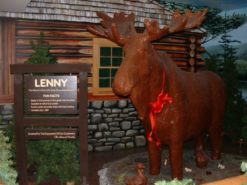 Lenny the chocolate moose