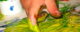 A hand is finger painting, mostly yellow. (Photo by Christine Jackowski via Flickr/Creative Commons https://flic.kr/p/dXbHq)