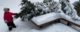 Almost six year old starts to clear snow from the tree