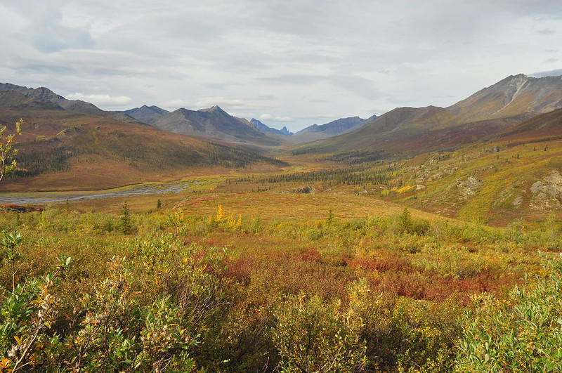 Yukon. (photo by Maja Milosevic via Flickr/CC https://flic.kr/p/yuFHPe)