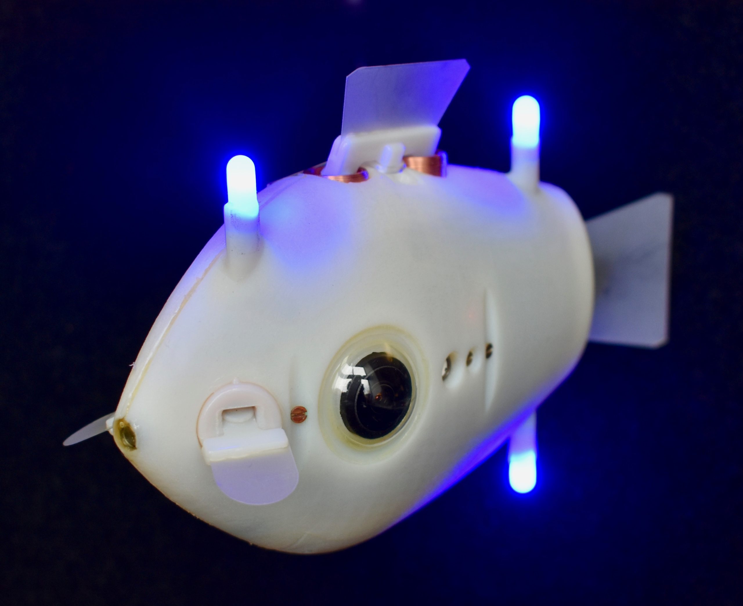 Robot fish (Image courtesy of Self-organizing Systems Research Group https://spectrum.ieee.org/automaton/robotics/industrial-robots/blueswarm-robotic-fish)