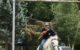 A man on a white horse puts his lance through one of the rings on the jousting course. (Photo by Pam Corey via Flickr/Creative Commons https://flic.kr/p/6Gh3sA)