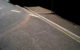 A chalk outline on a street. (Photo by Mike Andrews via Flickr/Creative Commons https://flic.kr/p/4CNoCx)