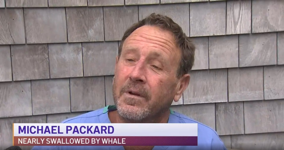 Michael Packard: Nearly Swallowed By Whale