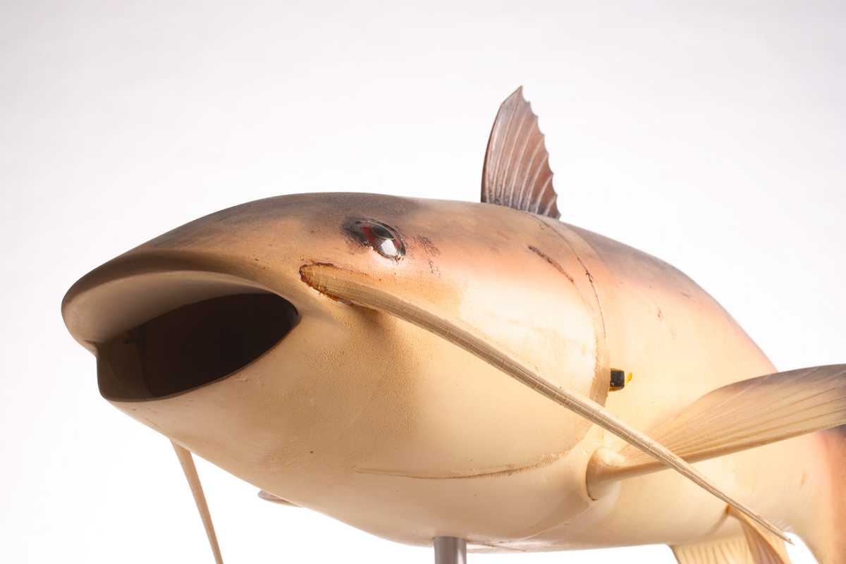 Charlie the robot fish (Photo via CIA.gov https://www.cia.gov/legacy/museum/artifact/robot-fish-charlie/)