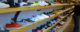 Shelves of gym shoes (not the ones featured in today's show). Photo by Sam Beebe via Flickr/Creative Commons https://flic.kr/p/bErtv2