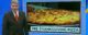 News anchor in front of an image of a pizza with the caption "Pre-Thanksgiving Pizza"