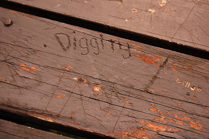 The word "Diggity" carved into a brown wooden picnic table.