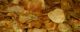 Potato chips. (Photo by Jessica and Lon Binder via Flickr/Creative Commons https://flic.kr/p/HkVXz)