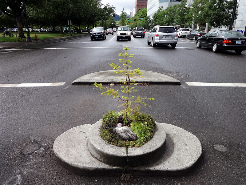 Mill Ends Park - one tree inside a concrete hole. (Photo by Craig Dietrich via Flickr/Creative Commons https://flic.kr/p/ePbxkV)