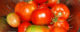 Tomatoes in a colander.