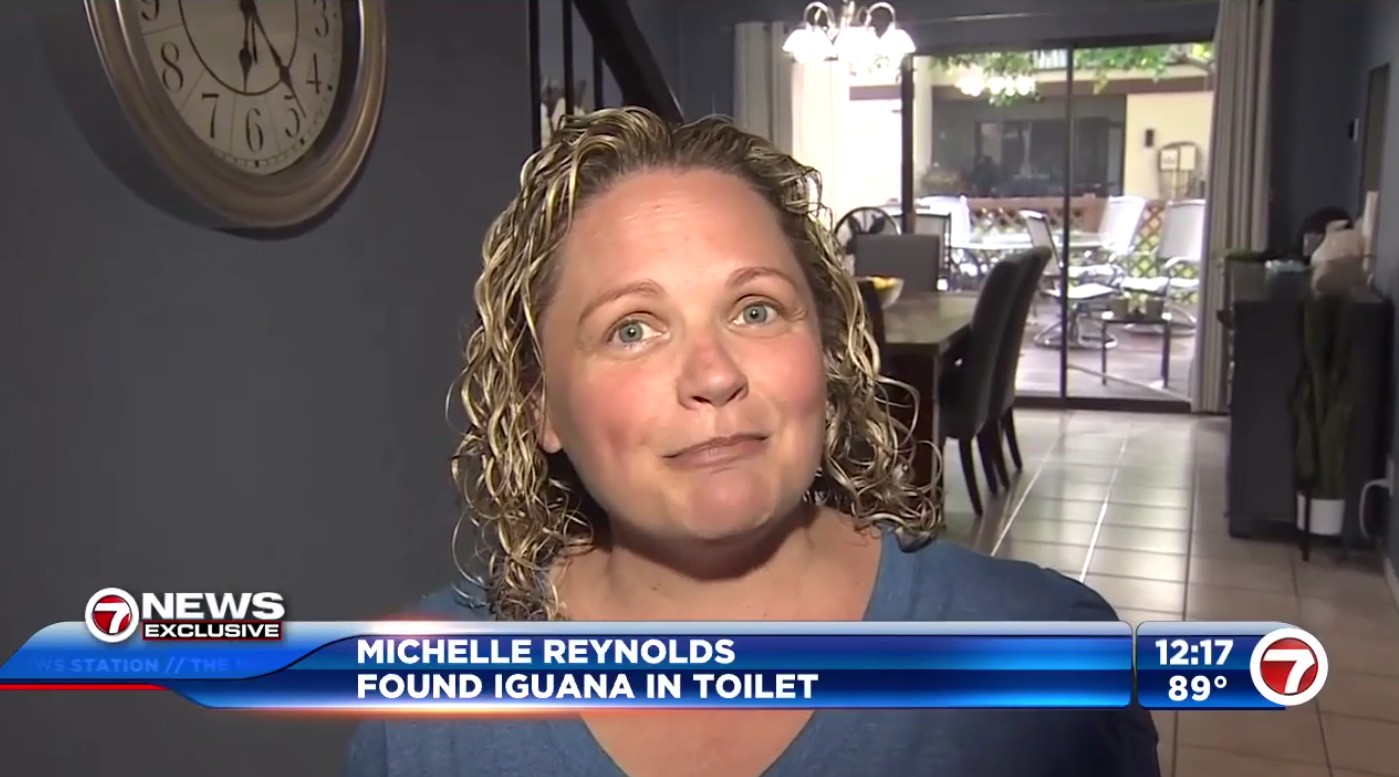 Michelle Reynolds: Found Iguana In Toilet