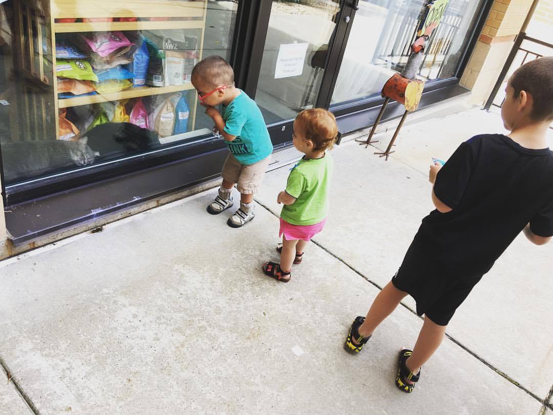 Two year old makes a shhh sign with his hand. He, his sister and his brother are all looking at a gray tabby cat sleeping in a store window.