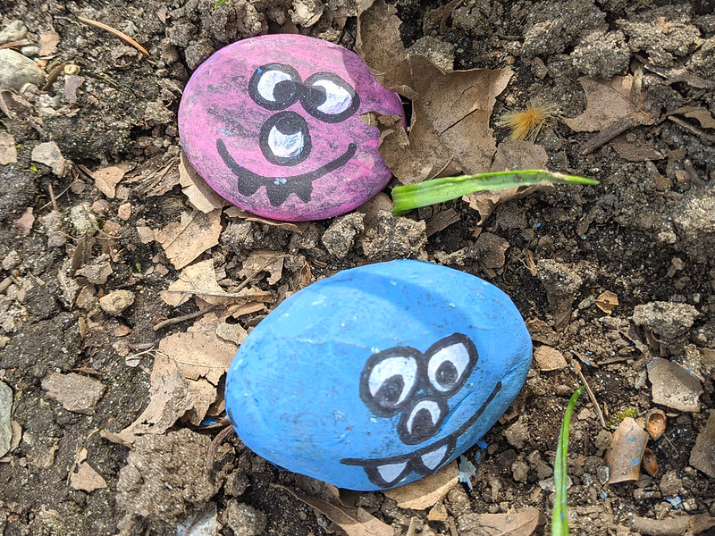 Someone has drawn silly monster faces on the surfaces of two rocks. One has been painted blue and the other pink. (Photo by Ruth Hartnup via Flickr/Creative Commons https://flic.kr/p/2kEokVr)
