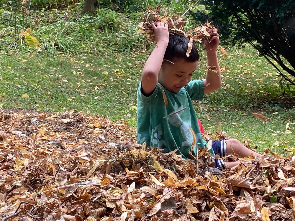 Five year old sits in a leaf pile and drops leaves on his own head, giggling