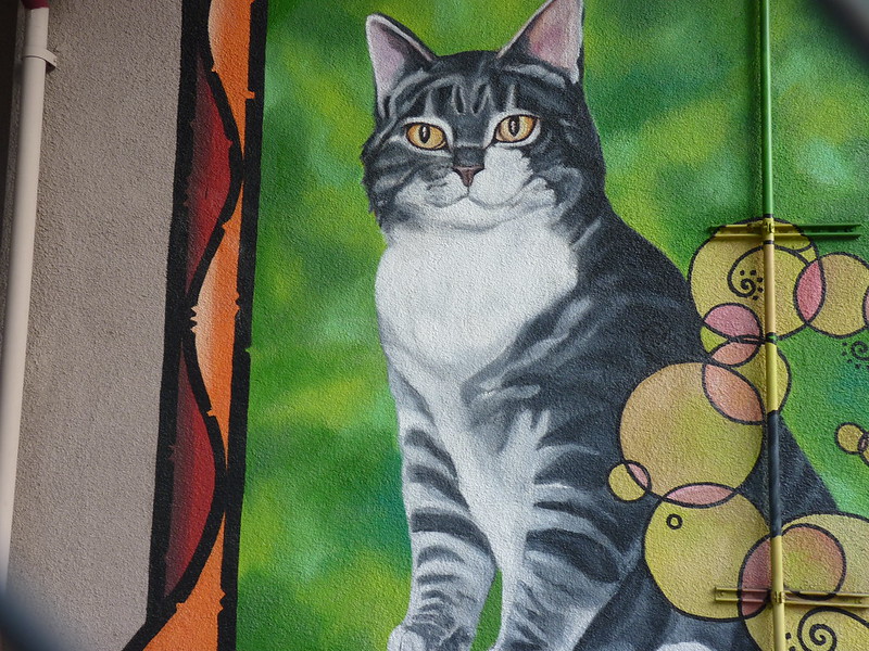 A mural of Room 8 the cat at Elysian Heights Elementary School in Los Angeles. (Photo by Paul Narvaez via Flickr/Creative Commons https://flic.kr/p/9i5cEf)