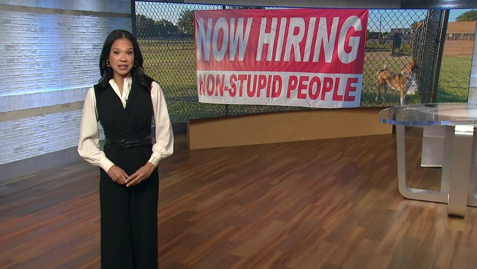 A sign reads "Now Hiring: Non-Stupid People"