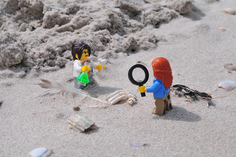 Two Lego minifigures explore on the beach. (Photo by julochka via Flickr/Creative Commons https://flic.kr/p/oeqRcS)