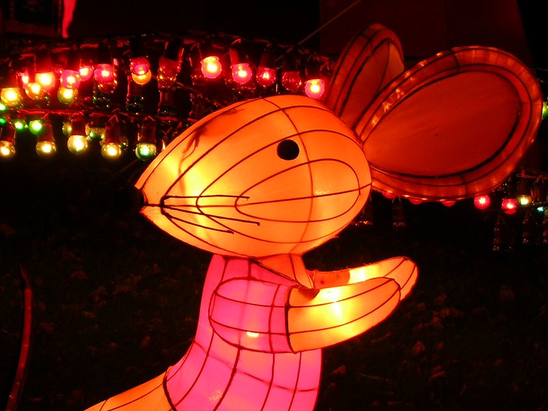 A display of an inflatable light-up rat. Photo by Onion via Flickr/Creative Commons https://flic.kr/p/ofBaA